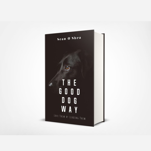 Dog book cover with the title 'A cover for a cool, hip, simple book on dog training'