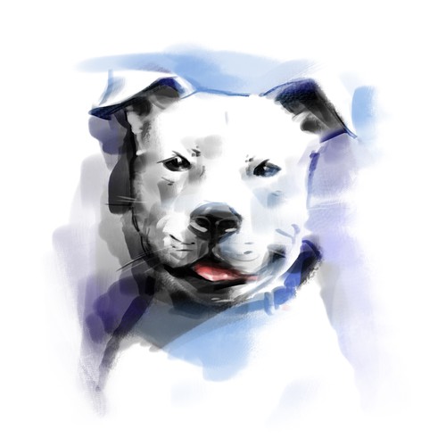 Portrait t-shirt with the title 'In contest Help Pit Bulls in Need by Creating a New Tshirt Design for Our Pittie Rescue!'