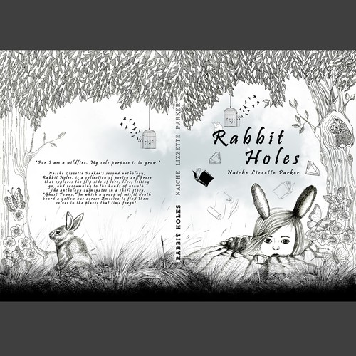 Drawing book cover with the title 'Whimsical Illustrated Book Cover '