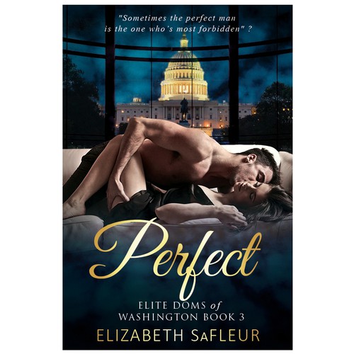 Novel book cover with the title 'Perfect'