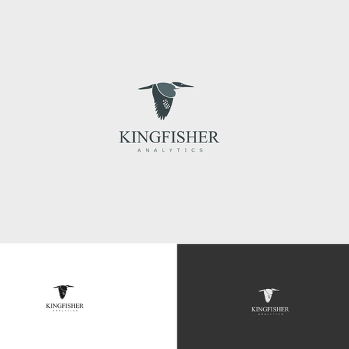 Software logo with the title 'Kingfisher'