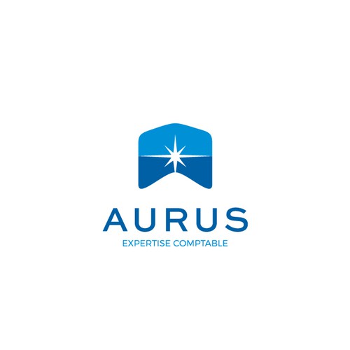 Hedge fund logo with the title 'Financial logo'