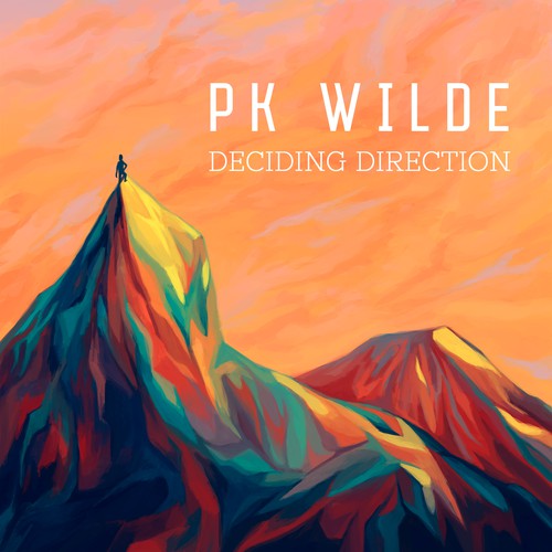 Wild artwork with the title 'Illustrated album cover'