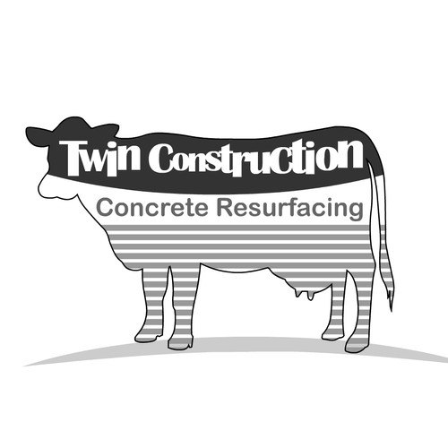 Flash logo with the title 'twin'