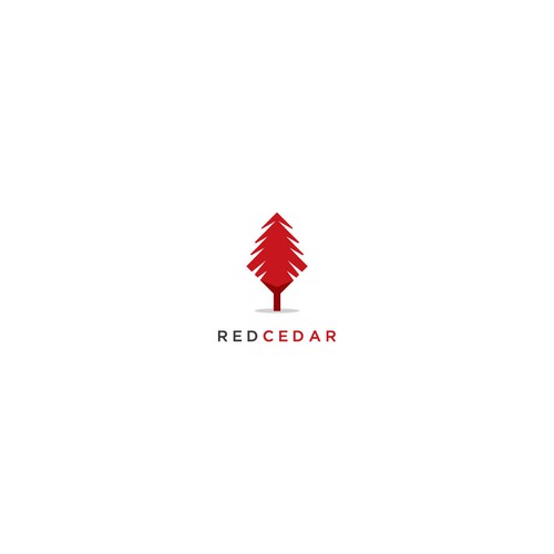 Cedar logo with the title 'Modern yet serious logo for financial company'