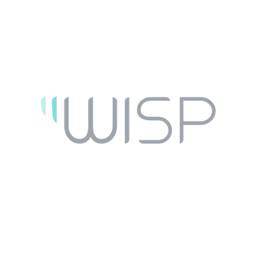 Blinds logo with the title 'WISP Logo Design'