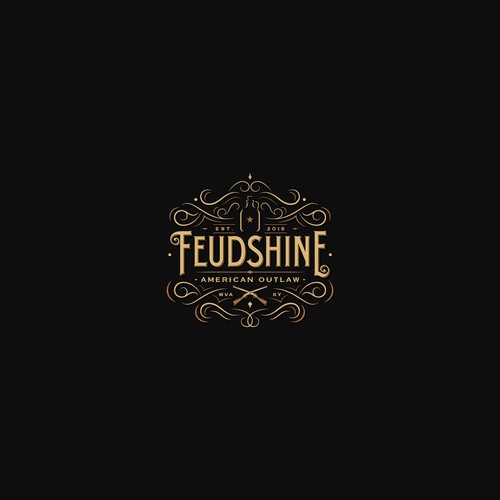 Swirly logo with the title 'Logo Concept for FeudShine'