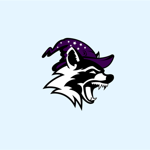 Wizard design with the title 'Raccoo Wizzard'