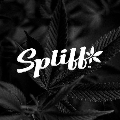Simple design with the title 'Customized Wordmark Design for Spliff, a brand of slim rolling papers aimed at CBD and cannabis'