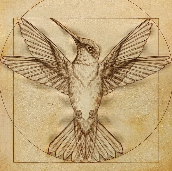 Symmetrical design with the title 'Da vinci hummingbird Illustration'