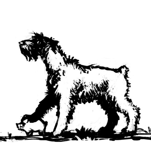 Pet illustration with the title 'Illustration of a dog'