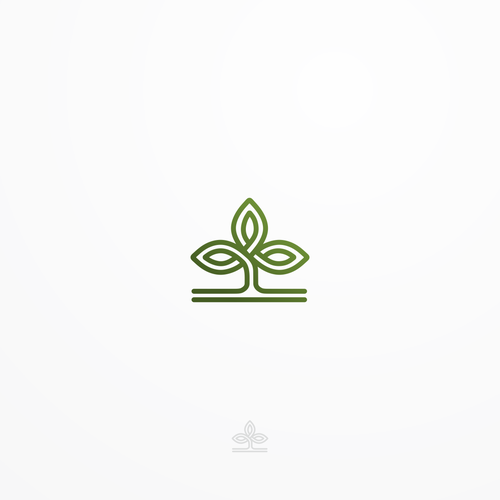 Orchard design with the title 'Mature, Sophisticated logo for Orchard Investment Management'