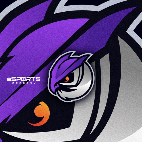 Owl logo with the title 'eSPORT Academy'