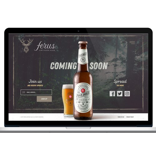 Vintage website with the title 'Ferus Artisan Ales - Web Design'