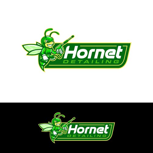 Car painting logo with the title 'Winner of "Hornet Detailing" Contest'