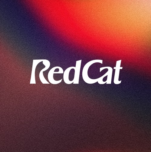 Logo with the title 'Wordmark Logo'