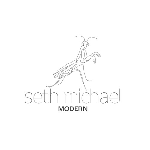 Bug logo with the title 'Logo for a Modern Furniture Store'