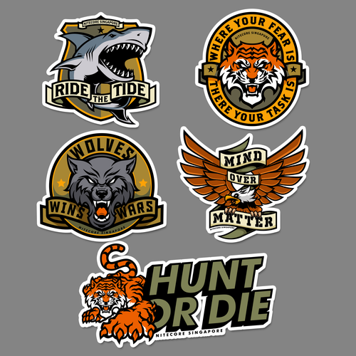 Vinyl design with the title 'Nitecore Singapore'