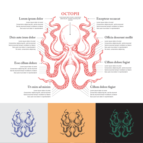 Diagram artwork with the title 'octopus illustration'