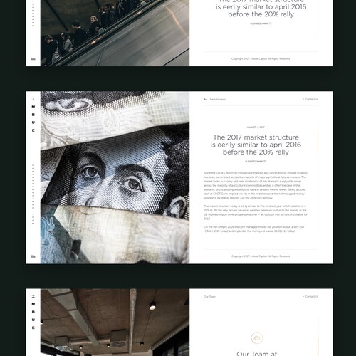 Site design with the title 'Quantitative Hedge Fund is After a Unique and Beautiful Wordpress Theme Website Design'