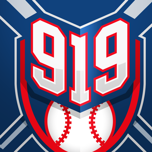 Sports logo with the title '919 Baseball Logo'