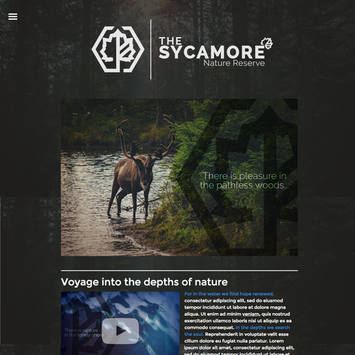 Nature website with the title 'Sycamore Website Concept'