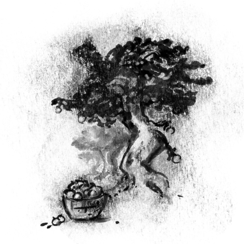 Orchard design with the title 'Orchard in Charcoal'