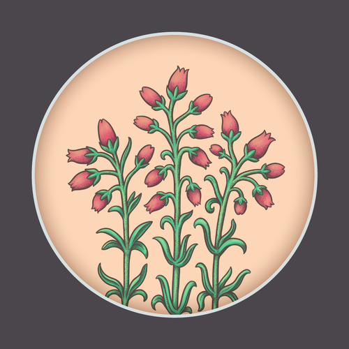 Ink artwork with the title 'Erica Tetralix'