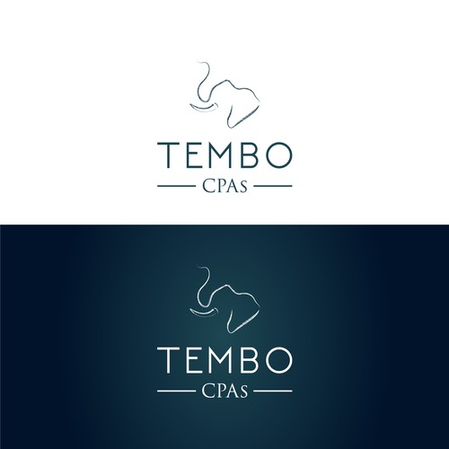 Corporate identity design with the title 'Hand drawn logo mark for Tanzanian CPA'