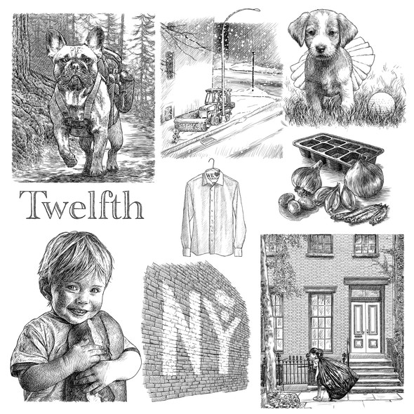 Pet illustration with the title 'Illustrations for book'