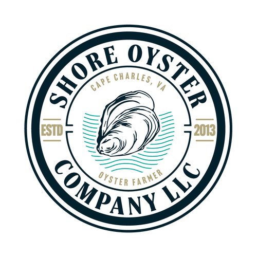 Oyster logo with the title 'logo concept for oyster company'