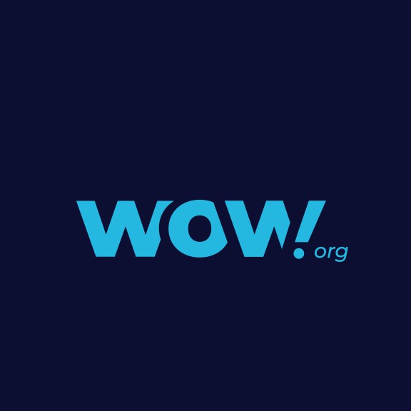 Blue with stars logo with the title 'Modern and smart wordmark for WOW'