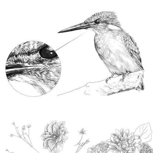 Bird artwork with the title 'Illustrations for the www.traumhaff.de'