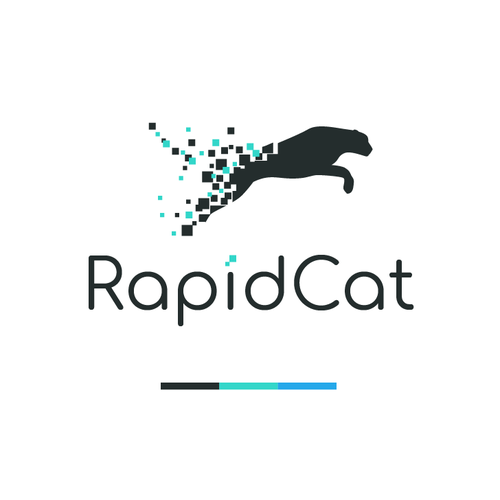 Cheetah design with the title 'Logo concept for RapidCat'