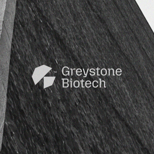 Icon logo with the title 'Greystone Biotech'