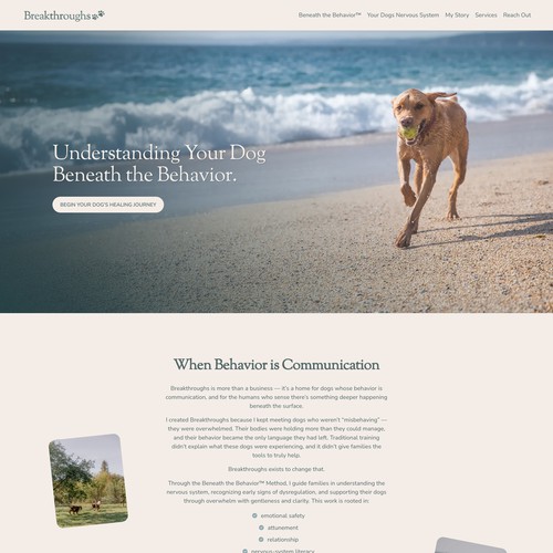 K9 design with the title 'Breakthrough Dogs'