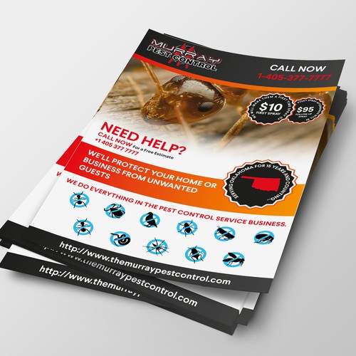 A4 design with the title 'Flyer Proposal for the Murray Pest Contol'