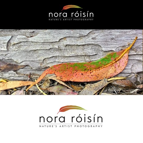 Australia flag logo with the title 'Logo for Nora Róisín: Nature's Artist Photography'