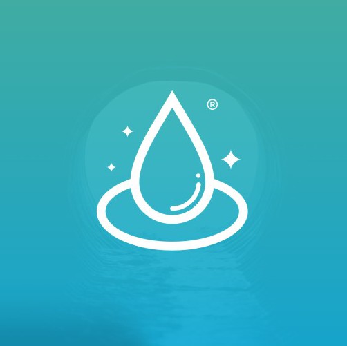 Witch design with the title 'Fun Minimalist Logo for Water Witch'