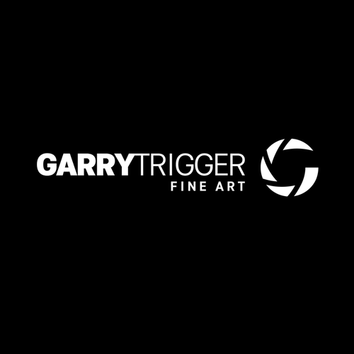 Photography brand with the title 'Classy logo for fine art print photographer'