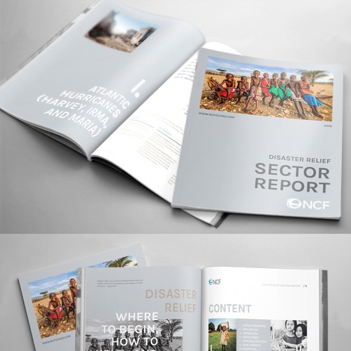 Report design with the title 'Sector Report'