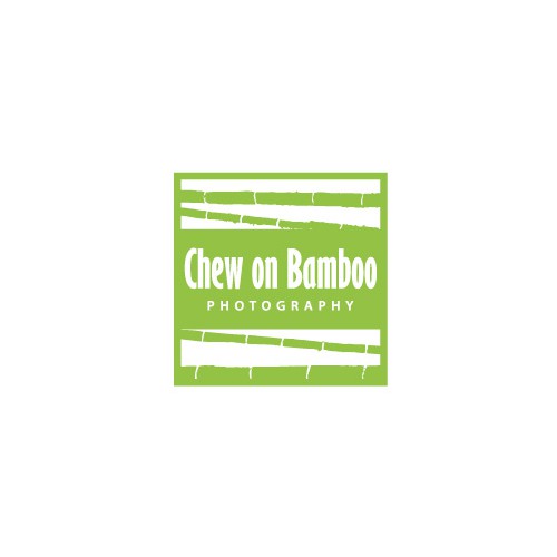 Bamboo logo with the title 'Unused concept for  Chew on Bamboo Photography'