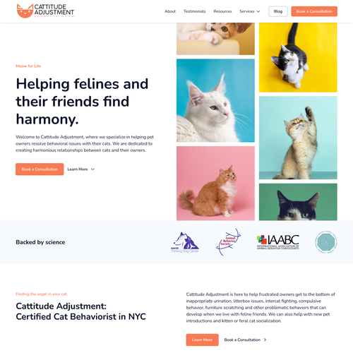 Orange website with the title 'Website design for clinical cat behaviorist specialist'