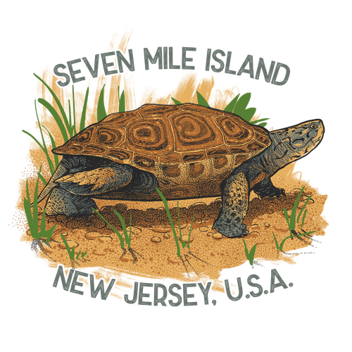 Wildlife design with the title 'diamond back terrapin for seashore outfitters'