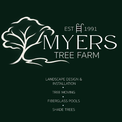Rustic-modern design with the title 'rebrand for MYERS tree farm'