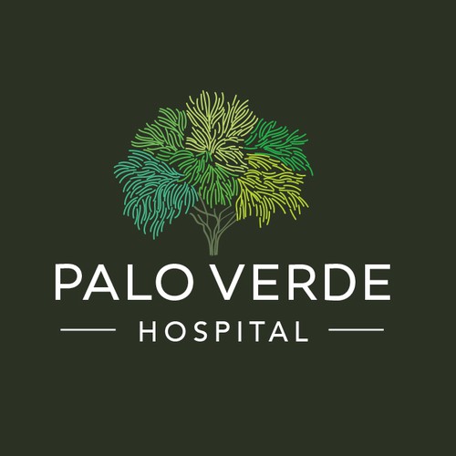 Healthcare design with the title 'Palo Verde Hospital'