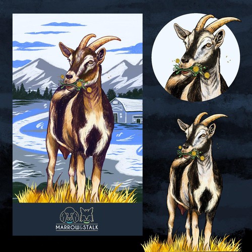 Goat illustration with the title 'Nigerian Dwarf Goat Illustration'