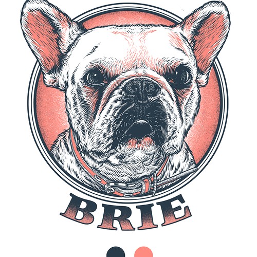 Dog t-shirt with the title 'Pet'