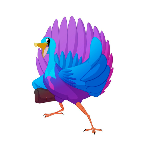 Peacock design with the title 'Your friend the peacock'