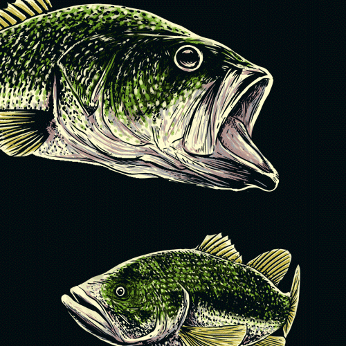 Fishing t-shirt with the title 'Bones Outfitters'